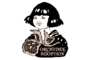 orchidee adoption